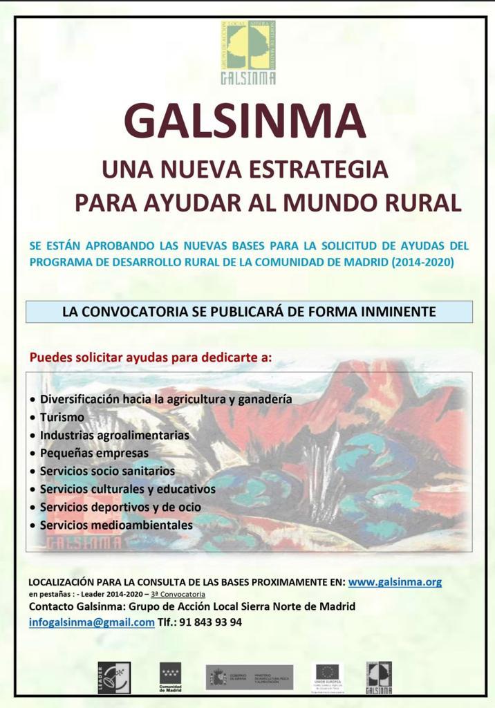 Galsinma conocatoria sep 2020