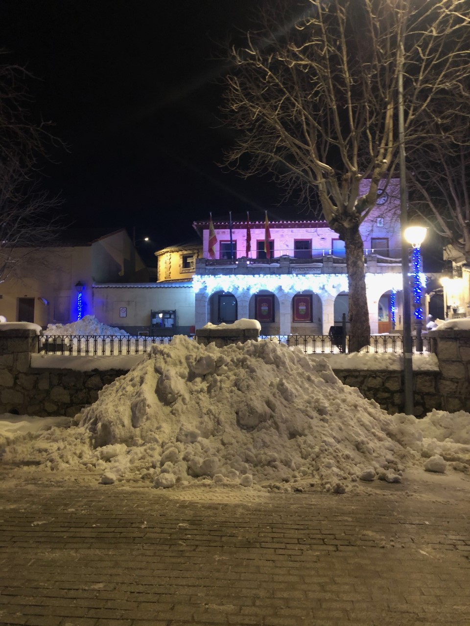 nieve cabanillas