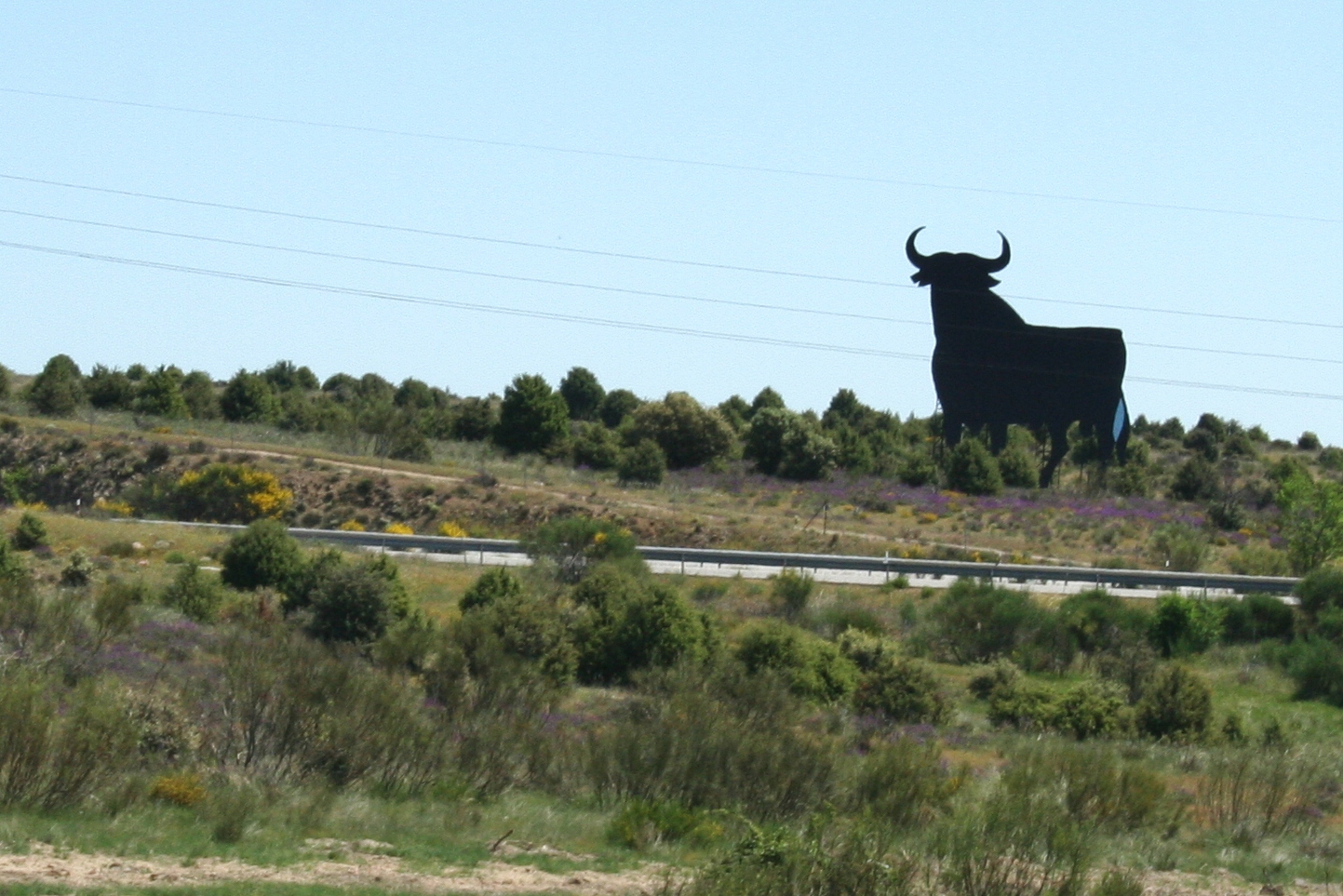 Toro_de_Osborne_Cabanillas_de_la_Sierra