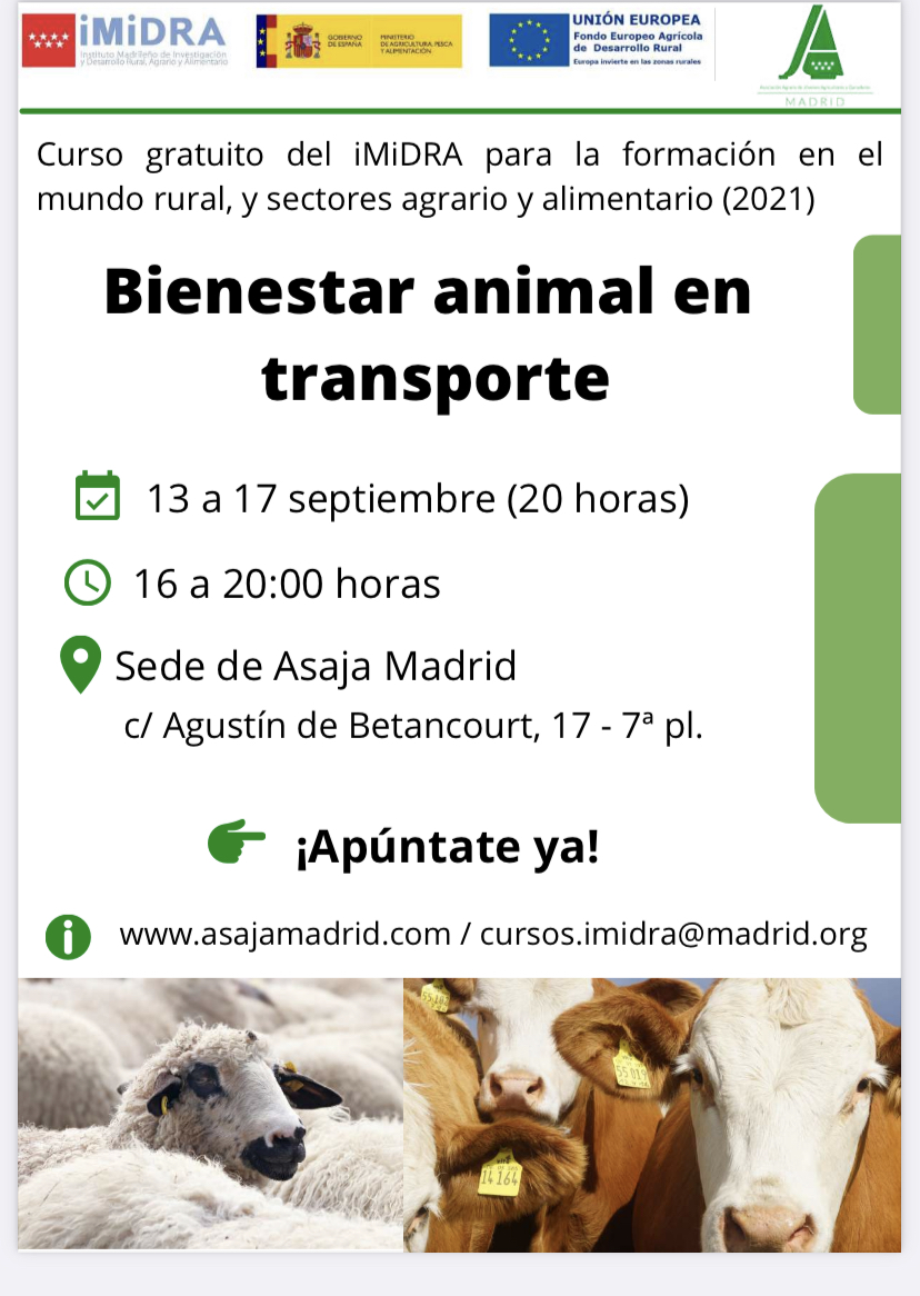 curso Imidra Bienestar animal