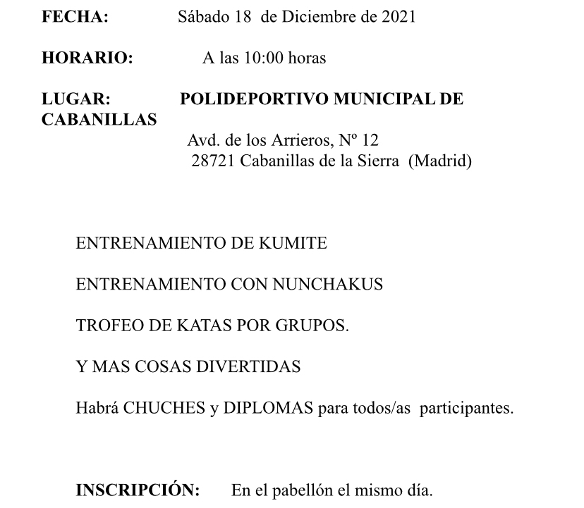 festival navidad karate 2