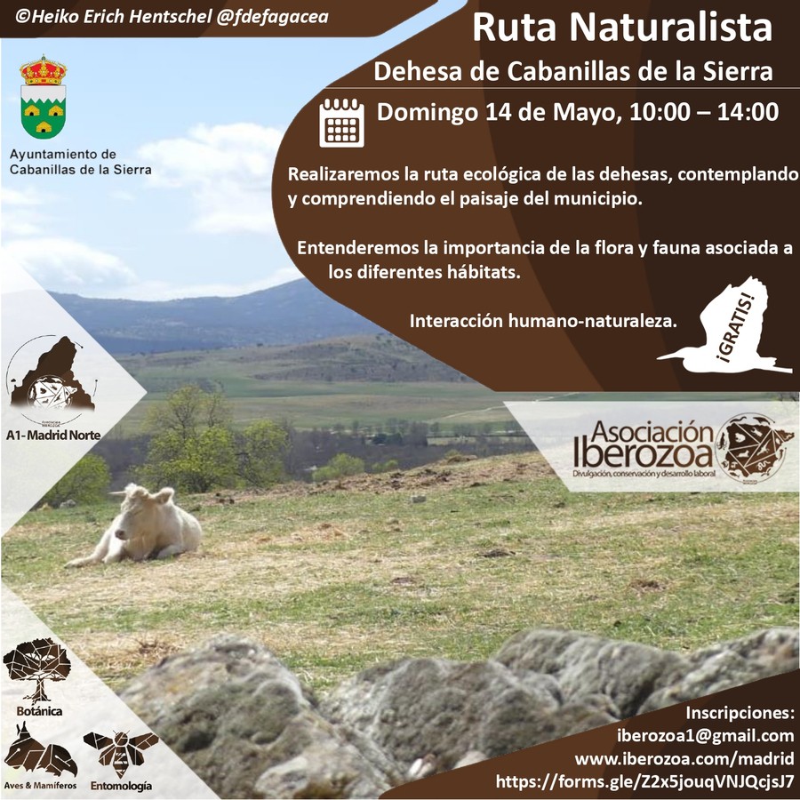 Ruta naturalista Cabanillas