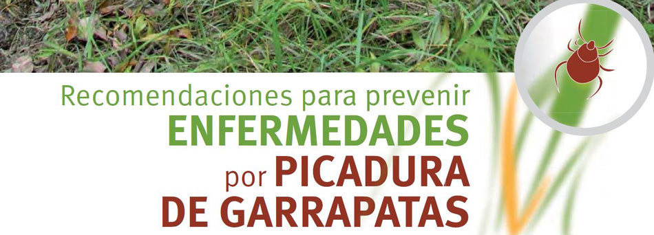Prevencion garrapatas