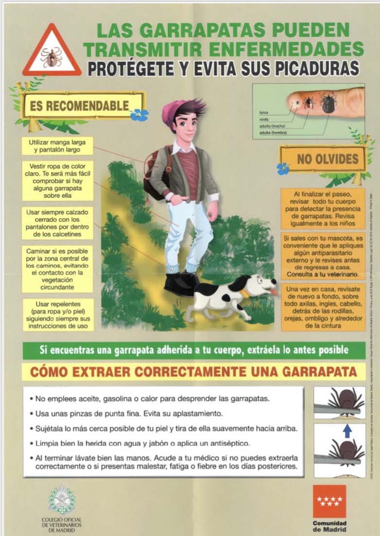 Protegete contra las garrapatas