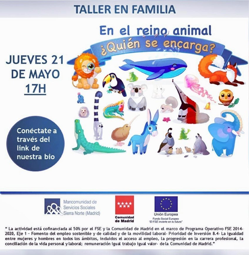 taller_en_familia-reino-animal