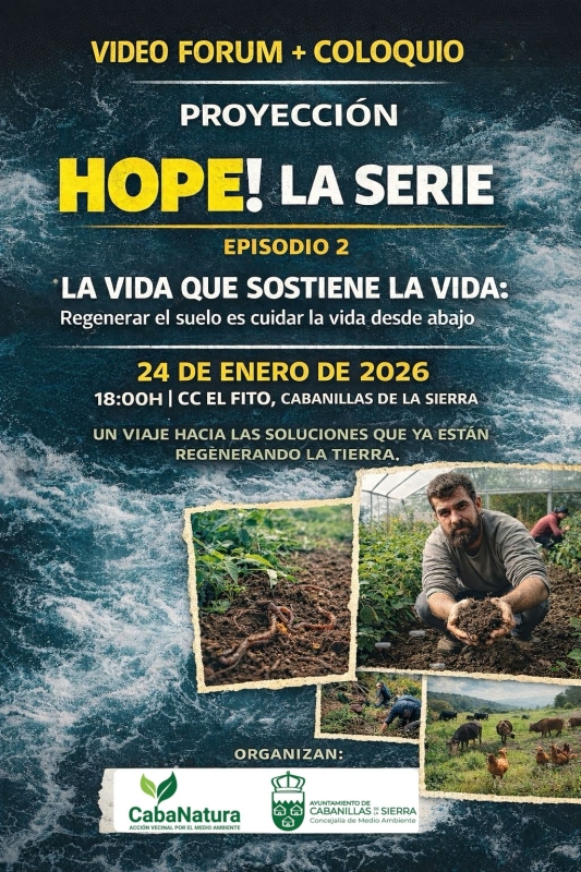 Video-forum-y-coloquio-enero-26